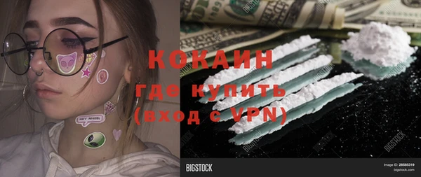 мет Елизово
