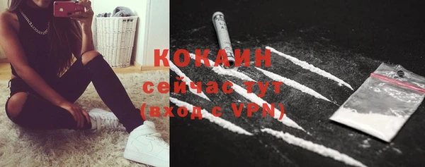 мет Елизово