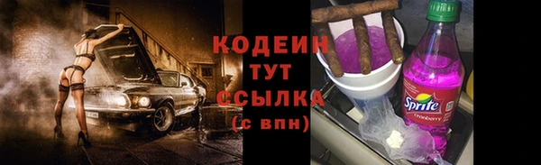 мет Елизово