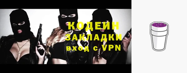 мет Елизово