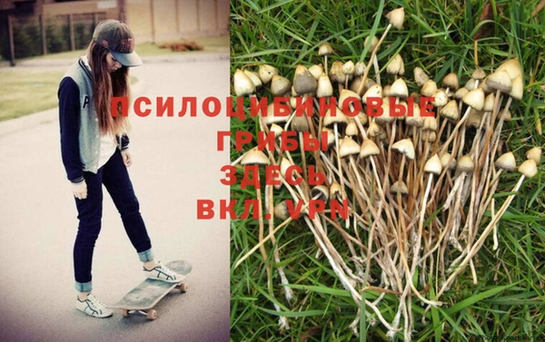 мет Елизово