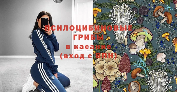 а пвп мука Елабуга