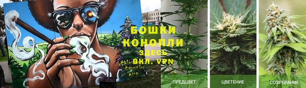 а пвп мука Елабуга